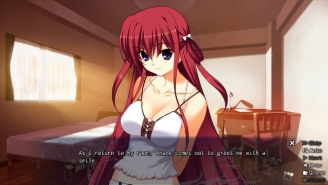 The Labyrinth Of Grisaia Gameplay Screenshot