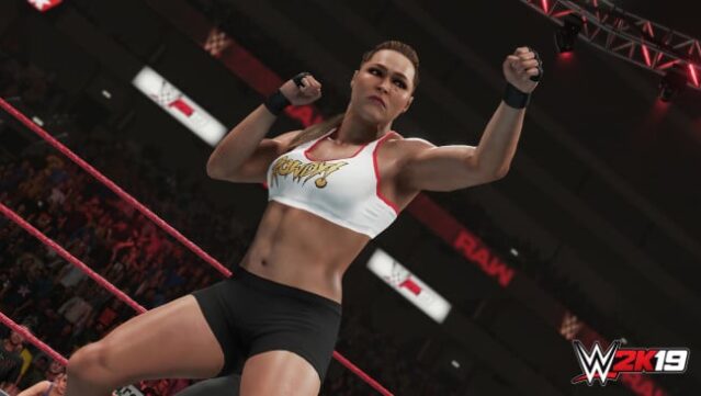 WWE 2K19 PC Screenshot